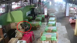 Delincuente romántico, con rosas en las manos hurto una placa de la Placita
