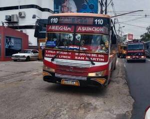Un árbol evitó que una chatarra provoque un tremendo accidente