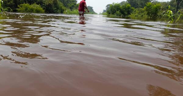 La Nación / Pobladores de San Carlos del Apa urgen ayuda a la SEN por desborde del río Apa