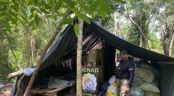 Hallan narcocampamentos dentro de parque nacional