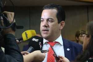 Friedmann: Los tesoreros serían designados para firmar compromisos de la ANR - ADN Digital