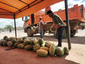 Más de 60 mil sandías ya fueron acarreadas por la Gobernación de Boquerón y comercializadas en los diferentes distritos