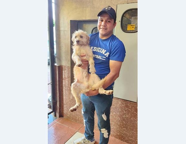 Fue encontrado el perro Hongui | DIARIO PRIMERA PLANA