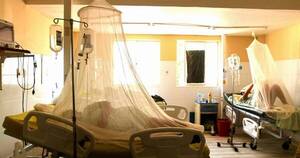 La Nación / Región boliviana registra el mayor brote de dengue en 14 años