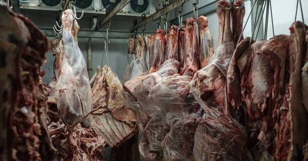 La Nación / Brasil suspende exportación de carne a China