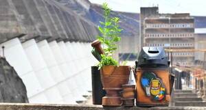 Binacional organiza feria de guampas y termos por el Día Nacional del Tereré