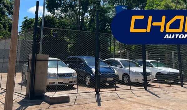 Desconocidos hurtan celulares y otros objetos de “Chora Automotores”