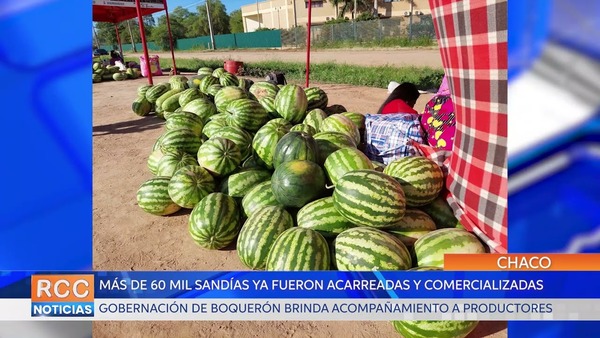 Más de 60 mil frutas de sandías ya fueron acarreadas por la Gobernacion de Boquerón