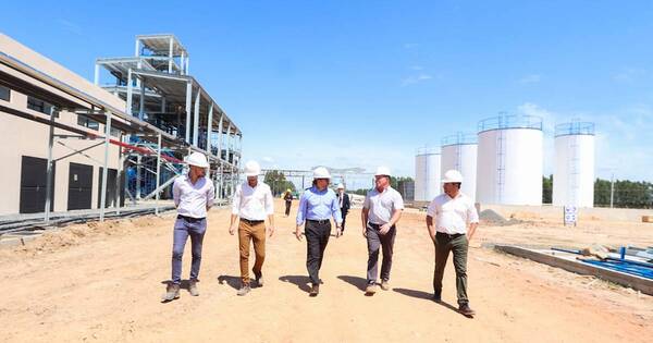 La Nación / Firma alemana producirá biodiésel de soja desde el mes de abril próximo