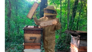 Che La Reina: el apiario de Gabriela Leguizamón, la apicultora que te introduce al mundo de las abejas