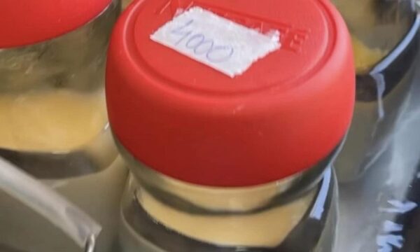 Banco ya procesó 1.600.000 litros de leche materna
