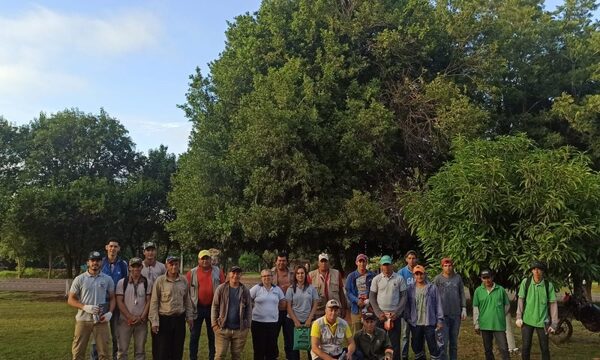 Extienden trabajos contra la arbovirosis en los diferentes distritos de Alto Paraná – Diario TNPRESS