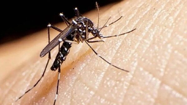 Chikungunya mató a un bebé de 16 días