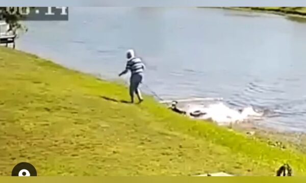 Abuelita murió tras ataque de caimán por salvar a su perro