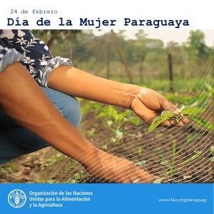 FAO destaca la importante labor de cerca de 1.300.000 mujeres rurales en el Día de la Mujer Paraguaya - .::Agencia IP::.