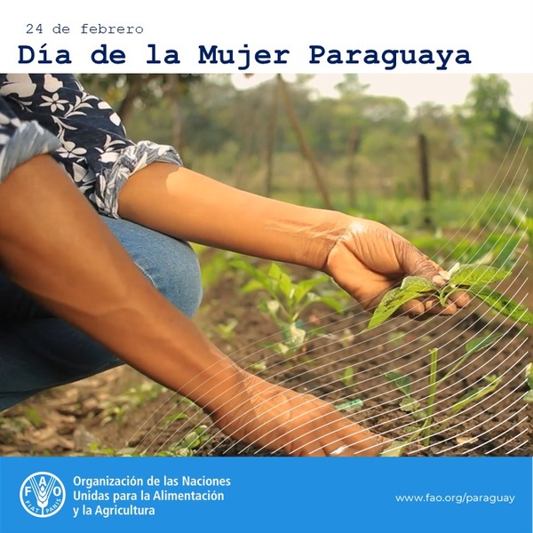 FAO destaca la importante labor de cerca de 1.300.000 mujeres rurales en el Día de la Mujer Paraguaya - .::Agencia IP::.