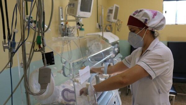 Salud emite alerta epidemiológica por comportamiento atípico del chikungunya