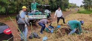 Aumento de notificaciones obliga a municipios a movilizarse contra criaderos - ABC en el Este - ABC Color