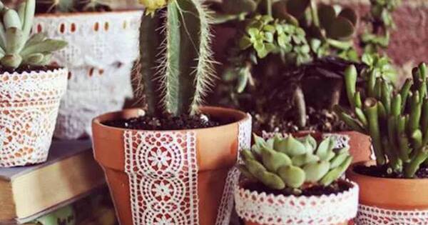 La Nación / Recipientes artesanales para plantas de interior