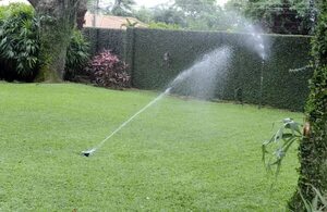 El Agua en el Jardín - Estilo de vida - ABC Color
