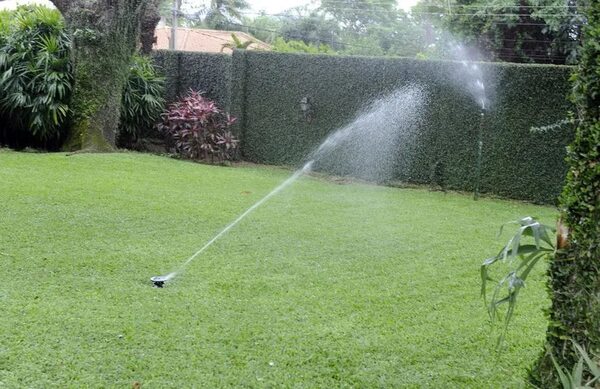 El Agua en el Jardín - Estilo de vida - ABC Color