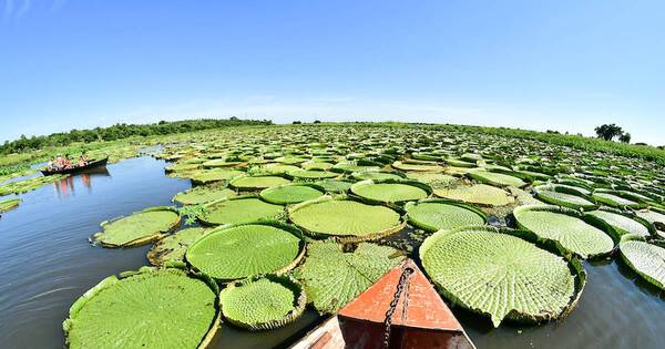 La Nación / Turismo interno: Los destinos más visitados del verano