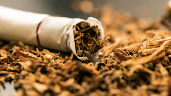 Ejecutivo aumentó al 22% el impuesto al consumo de tabaco