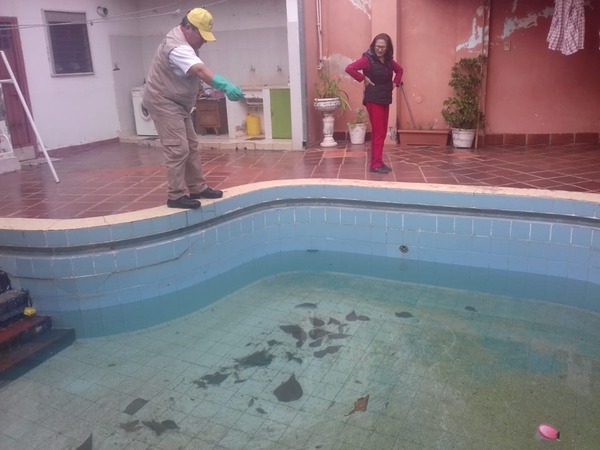 Más del 90 % de las casas visitadas por Senepa posee criaderos activos de mosquitos - ADN Digital