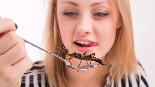 Esta no la esperaba: Vegetarianos contra la Agenda de Davos, piden prohibir el consumo de insectos - Informatepy.com