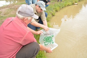 Estación de piscicultura de Yacyretá entregó más de 50.000 alevines - .::Agencia IP::.