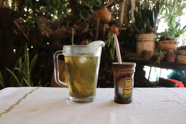 Día Nacional del tereré: remedios yuyos para aliviar síntomas de la chikunguña - Nacionales - ABC Color