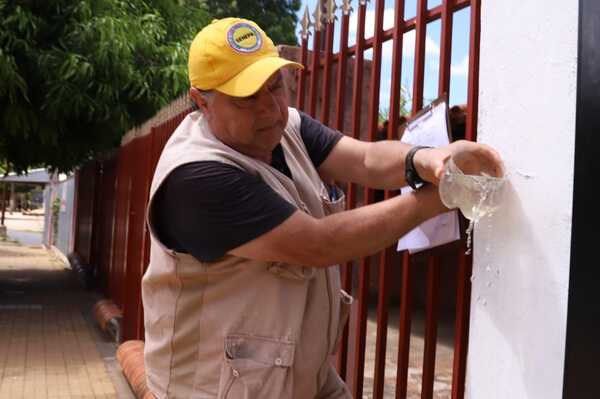 Más del 90 % de las casas visitadas por Senepa posee criaderos de mosquito - .::Agencia IP::.