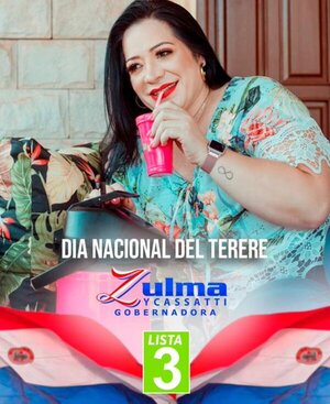 Propaganda electoral en la vía pública podrá realizarse desde la próxima semana