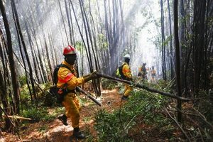 Bajan a 21 los fuegos importantes activos en Chile, la cifra más baja del año - Mundo - ABC Color