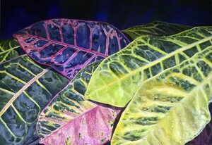 El jardín monoespecie de María Pía De Marco - ABC Revista - ABC Color