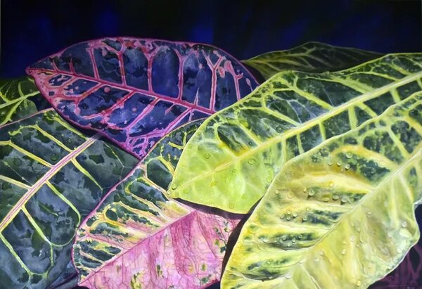 El jardín monoespecie de María Pía De Marco - ABC Revista - ABC Color