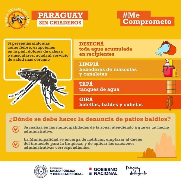 Chikunguña: invitan a aprovechar el fin de semana largo para eliminar criaderos - Nacionales - ABC Color