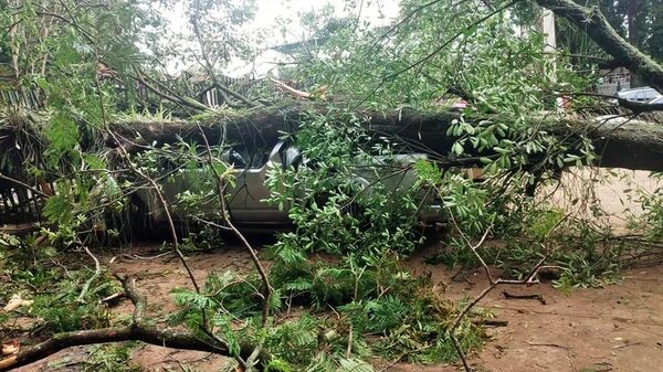 IPS: salió en busca de terapia para su madre y encontró su camioneta destrozada - ABC en el Este - ABC Color