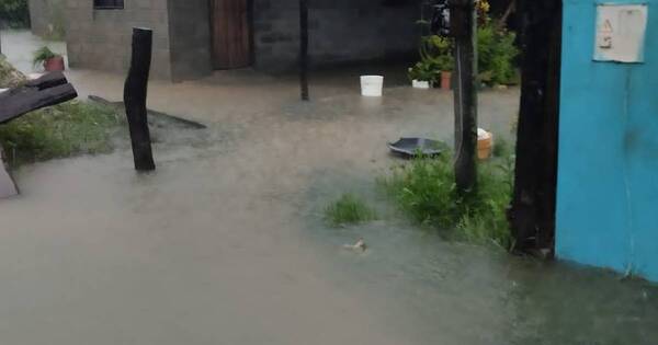 La Nación / Miles de familias están bajo agua en Puerto Casado, clamando asistencia de la SEN