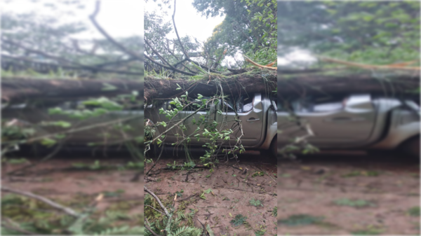Tristeza: salió a buscar terapia para su mamá y encontró su camioneta destrozada