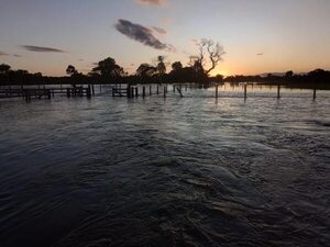 Lluvias inundan viviendas en Puerto Casado y Puerto Sastre - Noticias del Chaco - ABC Color