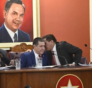 Depende de bancos asumir riesgo de  prestar a la ANR, dice Asoban - Política - ABC Color