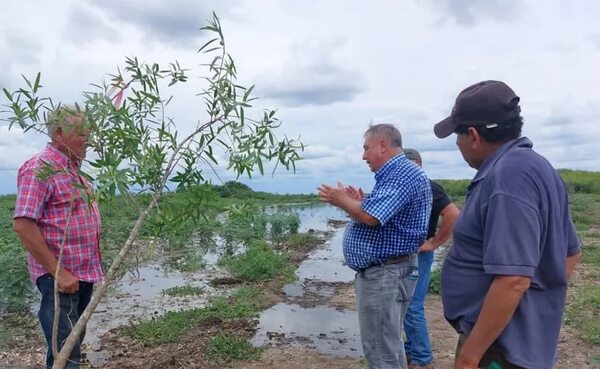 Costosas obras en Pilcomayo favorecen a pocas estancias, denuncia ganadero - Nacionales - ABC Color