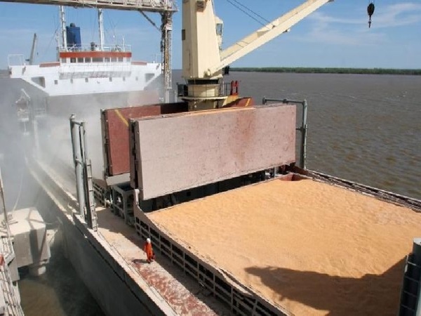 Aduana argentina intima el pago a cerealeras de ese país por cálculos hechos con soja paraguaya - La Tribuna