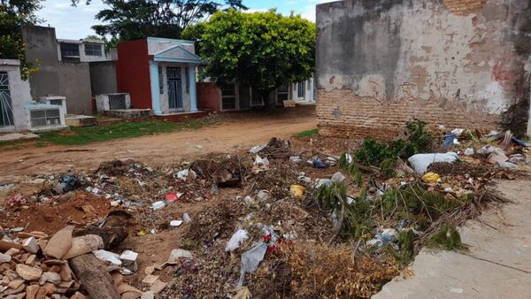Denuncian invasión de mosquitos en Cementerio del Este
