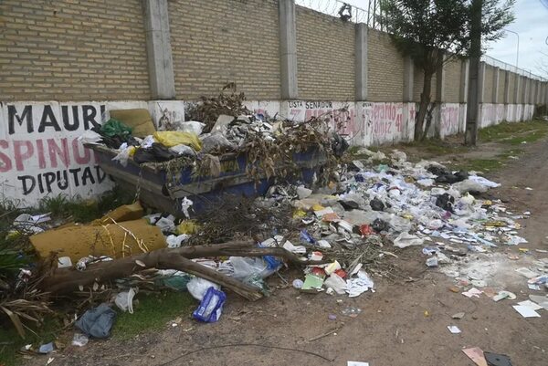 Aumentan casos de chikunguña, pero las calles de Asunción están inundadas de basura - Nacionales - ABC Color