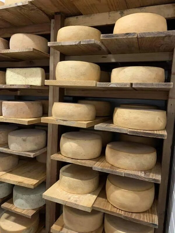 Piribebuy: el Tour del Queso, una opción ideal para hacer turismo interno - Nacionales - ABC Color