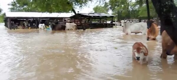 Viviendas inundadas y cortes de caminos tras copiosas lluvias en Alto Paraguay - Noticias del Chaco - ABC Color