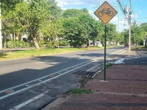 Bicisenda: “Lo ideal sería que todas las calles tengan una bicisenda”, aseguró Callizo - Política - ABC Color