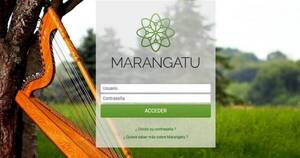La Nación / Hartos del colapso, hoy contadores se movilizan contra el Marangatu